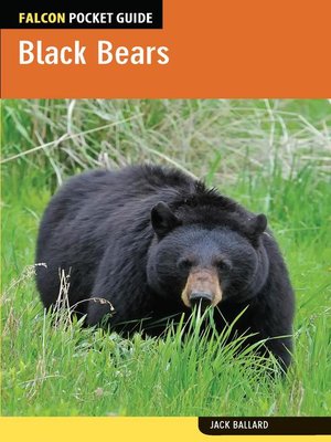 cover image of Black Bears